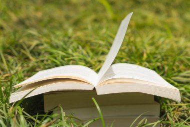 Kitap yığını çim