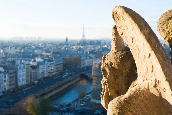 Горгульї, дивлячись на Париж пташиного польоту — стокове фото