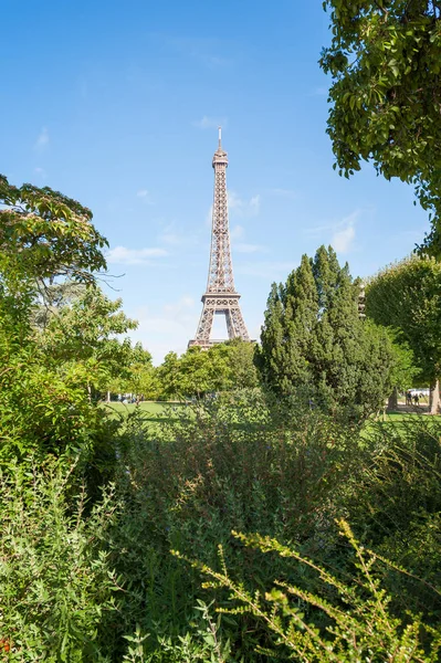 De toren van Eiffel in het midden van bomen tegen blauwe hemel in Parijs — Stockfoto