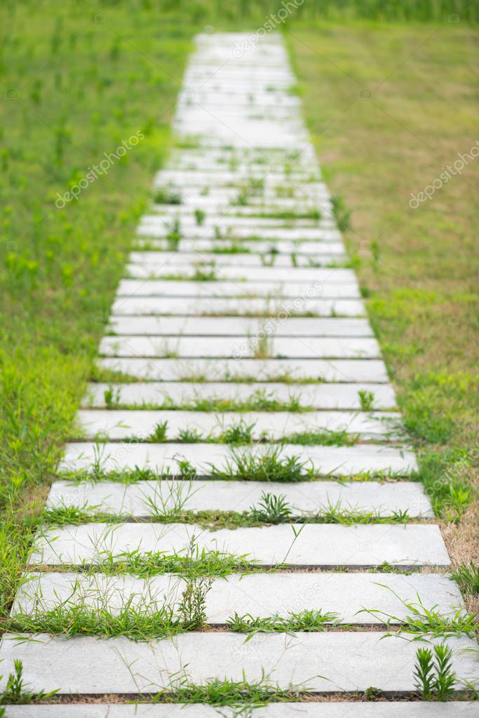 Stone footpath with growing grass