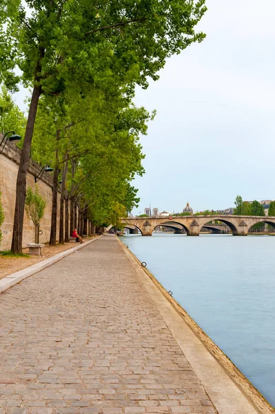 Річки Сени межує з деревами в Парижі — стокове фото