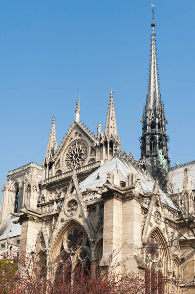Кафедральный собор Парижской Богоматери
