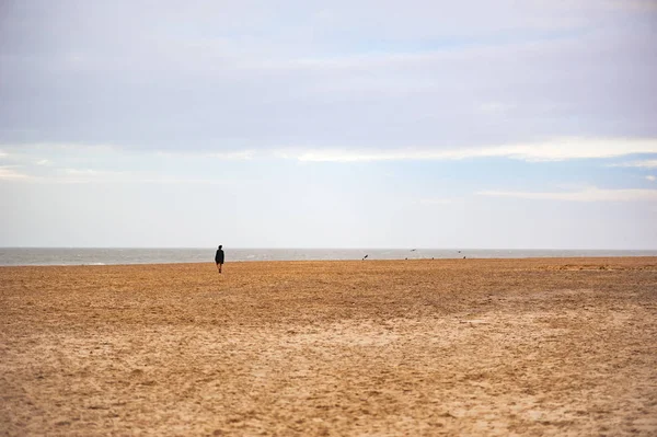 Yalnız kışın sahilde yürüyen adam