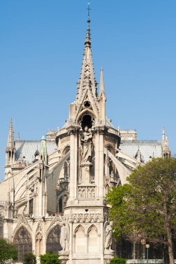 Notre-Dame de Paris Katedrali güneşli bir bahçeleri