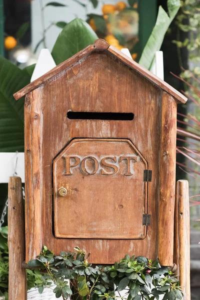 Wooden letter box with plants — Stock Photo, Image