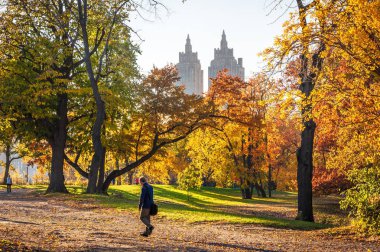 Güneşli bir sonbahar Central Park'ta yürüyen adam