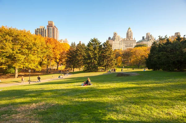 Central Park'ta kişilerde açık mavi gökyüzü ile sonbahar