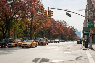 Batı Central Park'da sonbaharda sarı taksiler