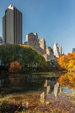 Bir gölde sonbaharda Central Park'ta yansıtan binalar