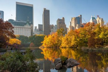Central Park'ta bir gölde yansıtan sonbahar ağaçlarda