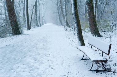 Kışın kar altında ormandaki boş tezgah