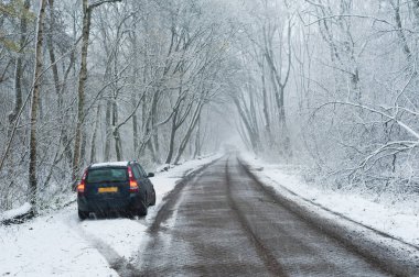 bir yol Orman sınırındaki kırmızı ışıklar ile Park araba