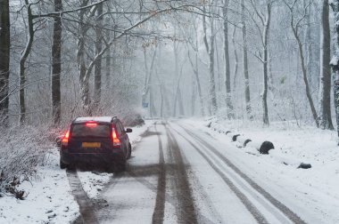 bir yol Orman sınırındaki kırmızı ışıklar ile Park araba