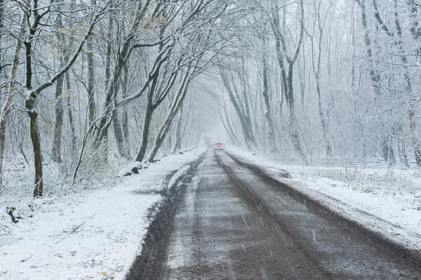 Samochody na drodze snowy lasu — Zdjęcie stockowe