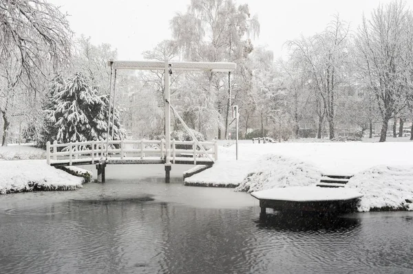 Opady śniegu w parku z mostu i staw — Zdjęcie stockowe