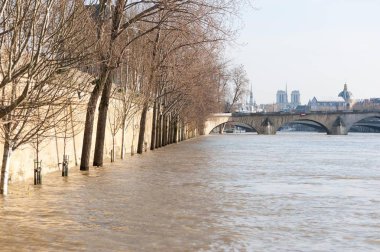 River Seine sınırları Paris'te sular altında.