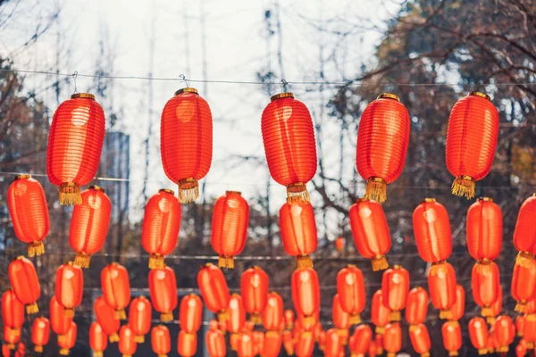 Rode Chinese lantaarns hangend in een park — Stockfoto