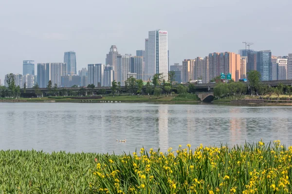 Moderne Skyline im Süden von Chengdu mit einem See im Vordergrund — Stockfoto
