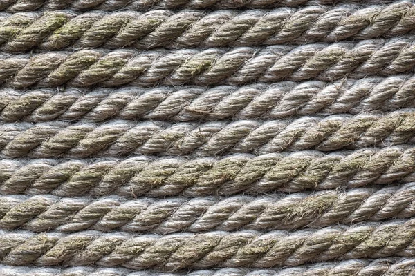 Textura de cuerda atada en una fila en fondo de línea paralela — Foto de Stock