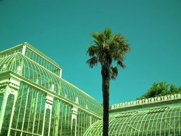 Das botanische Glashaus — Stockfoto