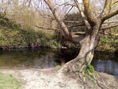 Hayat baharda gelir.