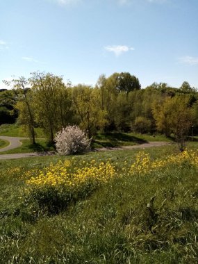 Tüm yıl boyunca hayat.