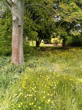 Tüm mevsimlerin hayatı