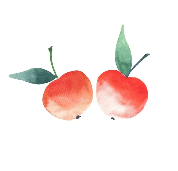Duas maçãs maduras vermelhas brilhantes isolado aquarela esboço da mão — Fotografia de Stock