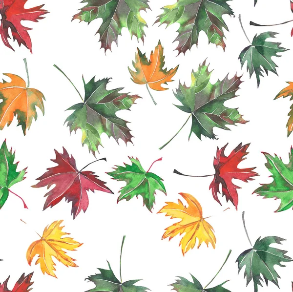 Hermoso patrón de hojas de otoño sin costura —  Fotos de Stock