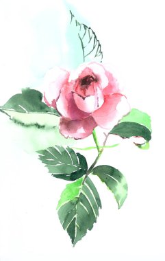 güzel bir gül bahçesi 