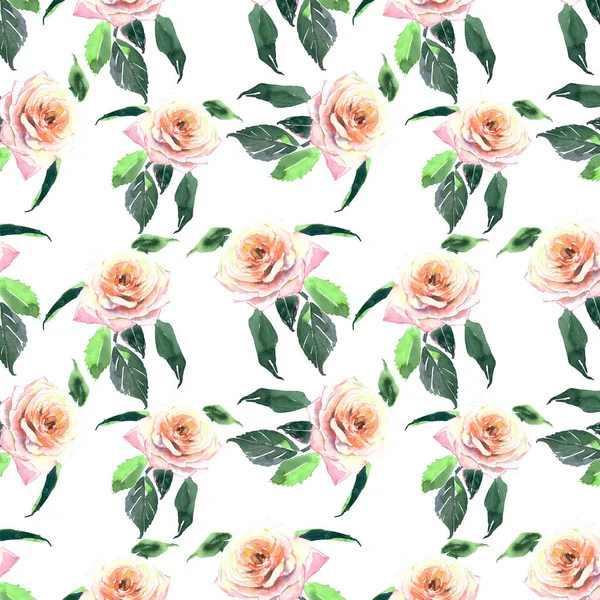Красивий різнокольоровий трояндовий садовий візерунок акварель — стокове фото