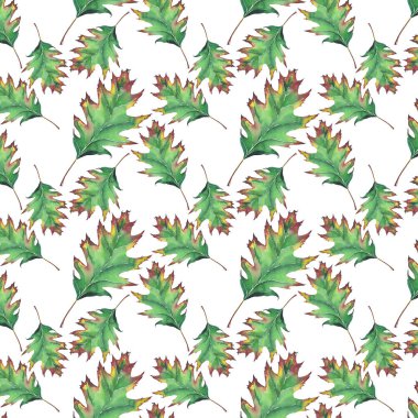 Desen güzel sonbahar yeşil akçaağaç yaprakları 