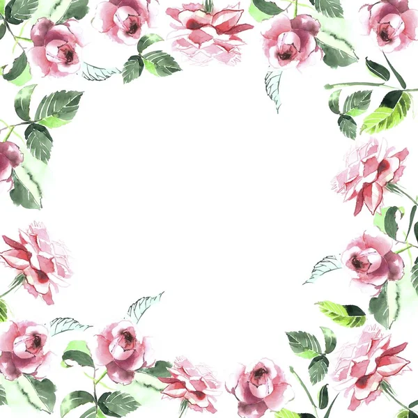 Hermoso marco de rosas de primavera acuarela — Foto de Stock