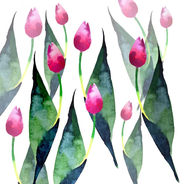 Różowe tulipany wiosna piękny wzór akwarela — Zdjęcie stockowe