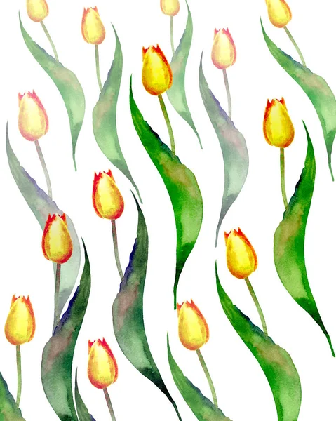 Linda primavera amarelo tulipas padrão aquarela — Fotografia de Stock