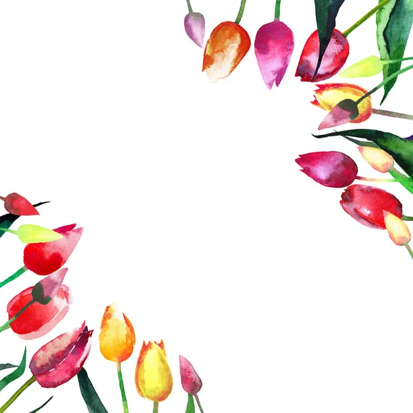 Beautiful spring tulips in a frame watercolor — Stock Photo, Image