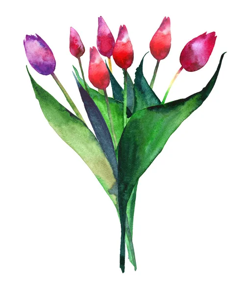 Tulipán, piros, rózsaszín és lila virágok-akvarell csodálatos fényes kifinomult csokor — Stock Fotó