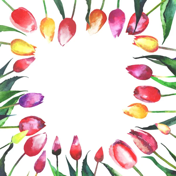 Beautiful bright tender lovely frame of red yellow pink violet tulips watercolor hand sketch — Stock Photo, Image