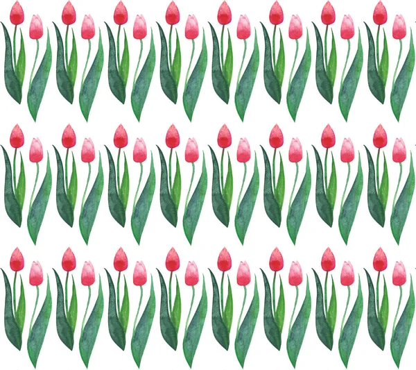 Two red spring lovely beautiful bright tulips on a white background seamless pattern watercolor hand sketch — Stock Photo, Image