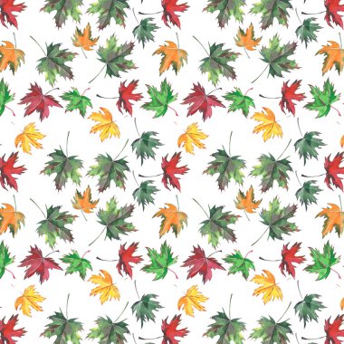Güzel parlak sonbahar akçaağaç yaprakları yeşil rad sarı renk desen sorunsuz suluboya el kroki
