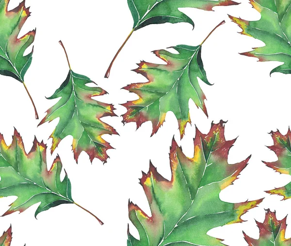 Яскравий красивий красивий осінній зелений кленовий лист безшовний візерунок акварельний ручний ескіз — стокове фото