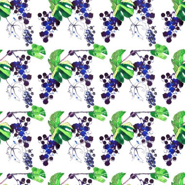Üzüm ve yaprakları ile sprey ve BLOB'ları el kroki kalem ve suluboya ile yapılan güzel soyut parlak desen