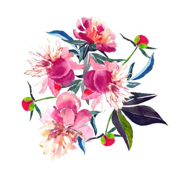 Suluboya el kroki güzel ihale sofistike bahar kompozisyon bir kırmızı bej toz pembe peonies yeşil yaprakları