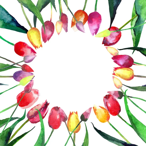 Beautiful bright tender lovely ring of red yellow pink violet tulips watercolor hand sketch — Stock Photo, Image