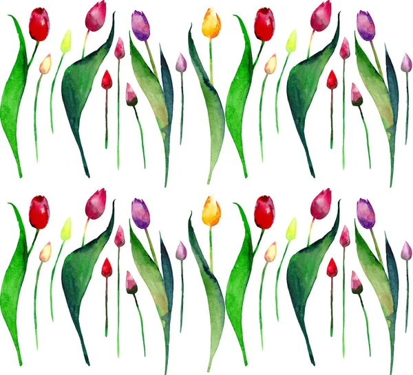 Bright beautiful spring vertical  pattern of tulips red yellow pink purple lavender flowers watercolor hand sketch — Stock Photo, Image