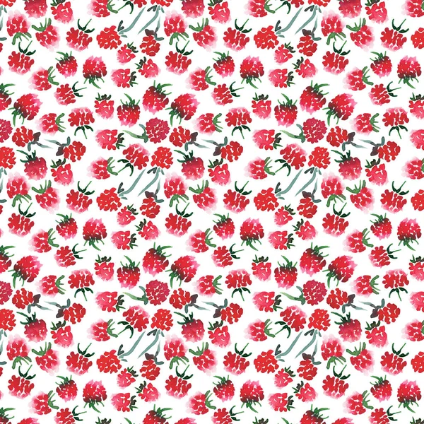 明るいおいしいジューシーな完熟赤マゼンタ ラズベリー パターン水彩手スケッチ — ストック写真