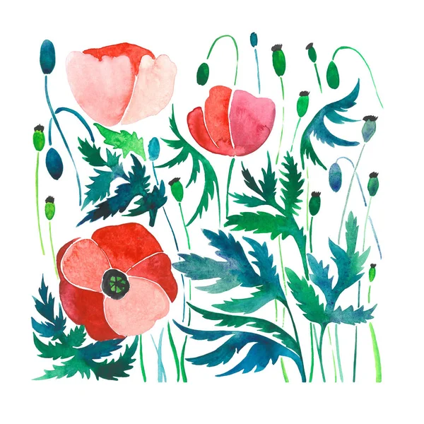 Szép fényes nyári mintás, piros Pipacsok, zöld levelek és fejek akvarell kézzel vázlatot — Stock Fotó