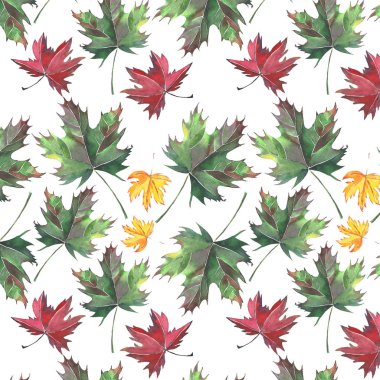 Desen suluboya el kroki güzel sonbahar çok renkli akçaağaç yaprakları