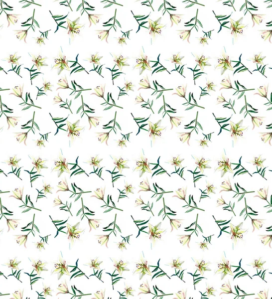 Мягкий изысканный красивый узор белого бежевого порошка лилии акварель ручной иллюстрации — стоковое фото