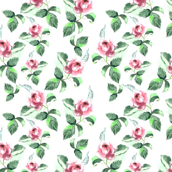 Όμορφη λεπτή ροζ κήπο με τριανταφυλλιές με πράσινα φύλλα χωρίς ραφή πρότυπο ακουαρέλα χέρι σκίτσο — Φωτογραφία Αρχείου